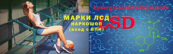 ПСИЛОЦИБИНОВЫЕ ГРИБЫ Алзамай