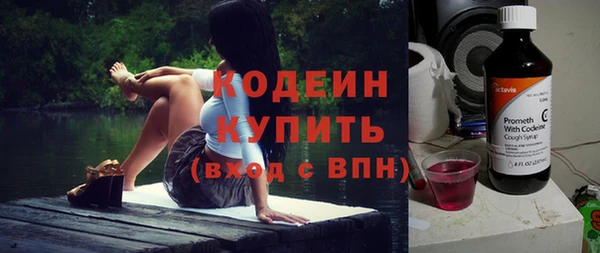 индика Бердск