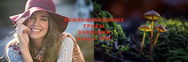 ПСИЛОЦИБИНОВЫЕ ГРИБЫ Алзамай