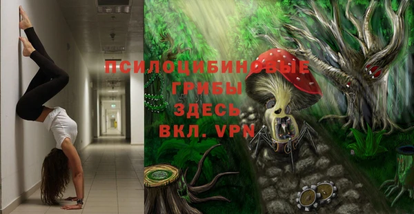 ПСИЛОЦИБИНОВЫЕ ГРИБЫ Алзамай