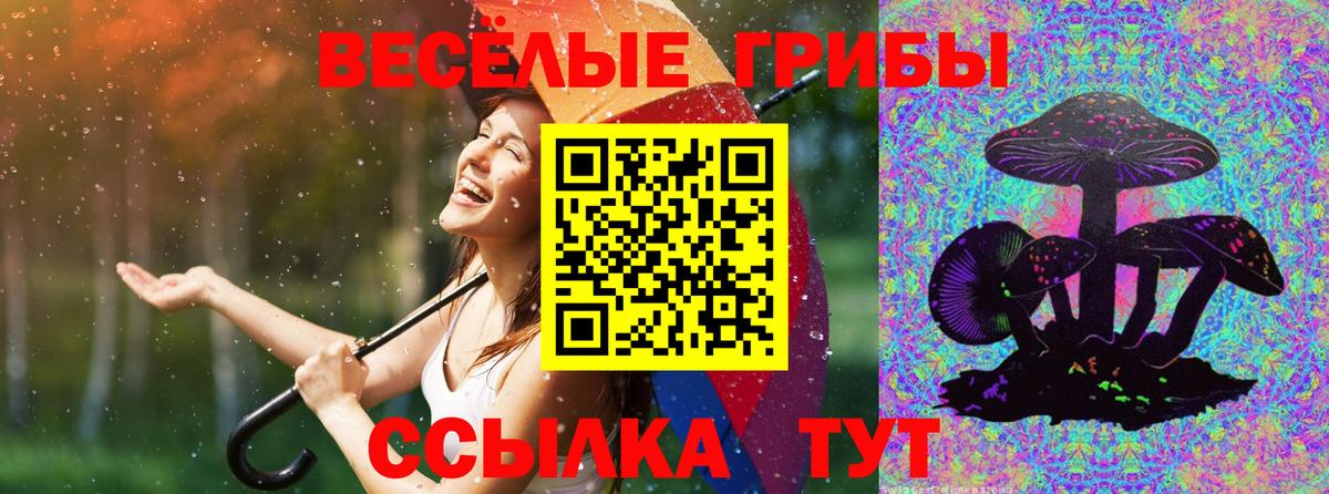 Галлюциногенные грибы ЛСД  наркошоп  Нижний Тагил  Вход с VPN 